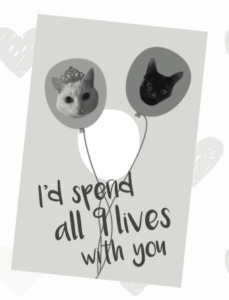 Screen Shot 2016-02-03 at 4.44.55 PM