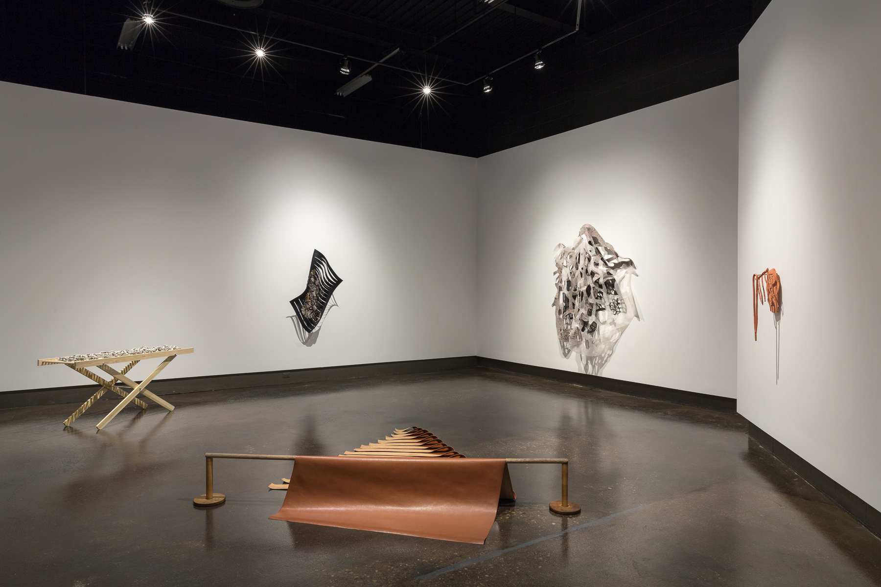 Image courtesy of the artist and the University of Waterloo Art Gallery Photo by Scott Lee