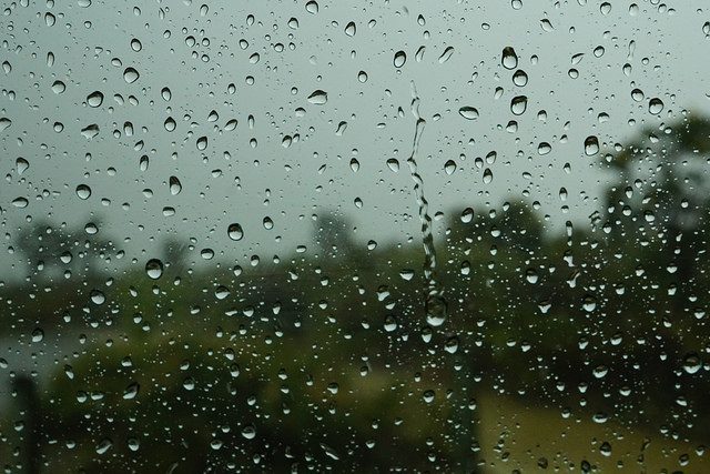 Good Grief: The Four Tasks of Mourning