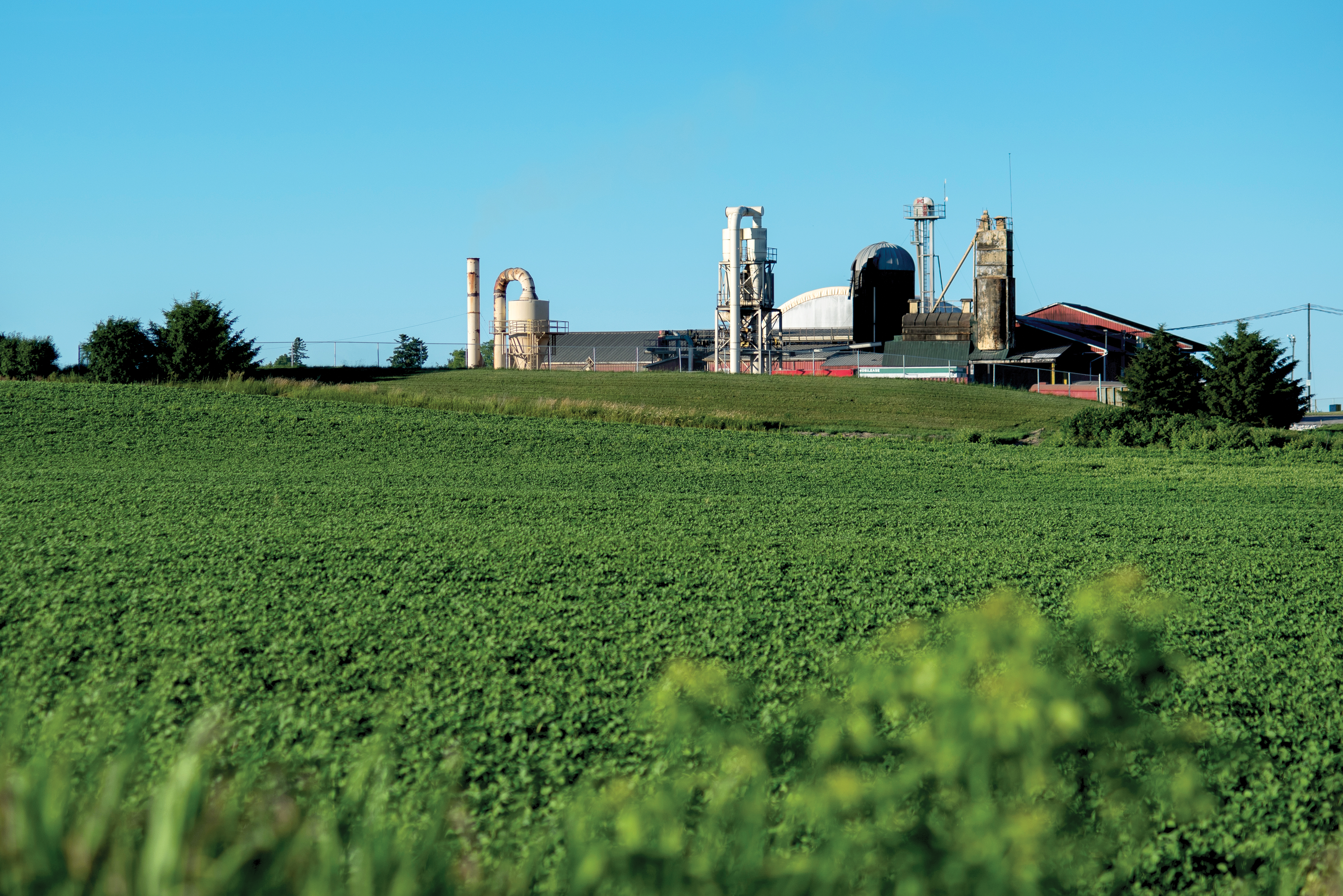 PIKNIK.SPOT PROVIDES LOCAL FOOD MAP