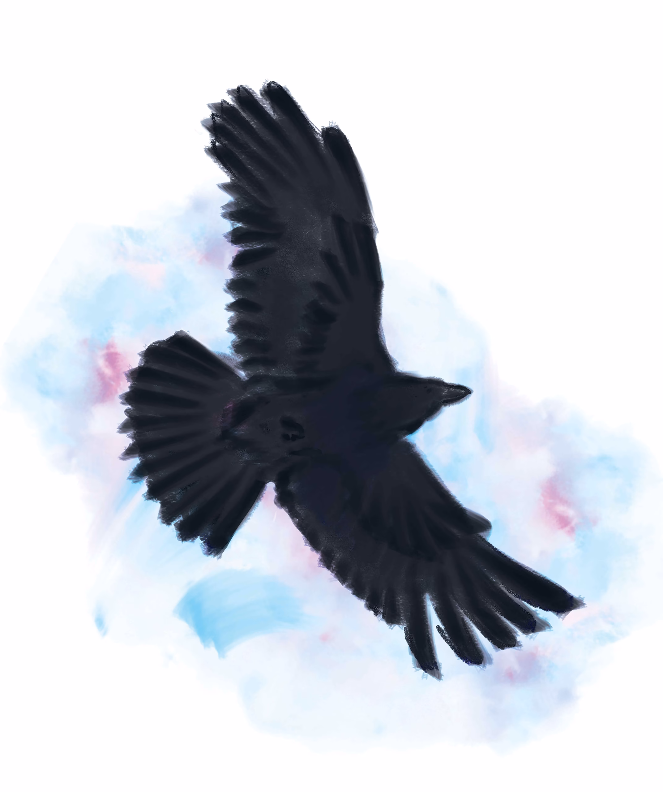 CROW SONG