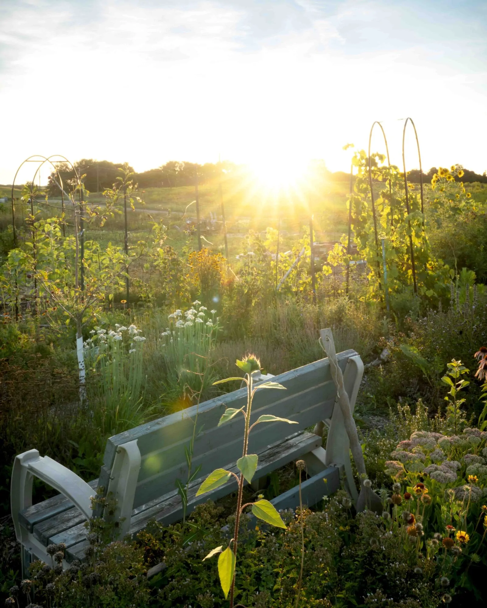 JUN-KAN PERMACULTURE IS ON A MISSION OF REPAIR